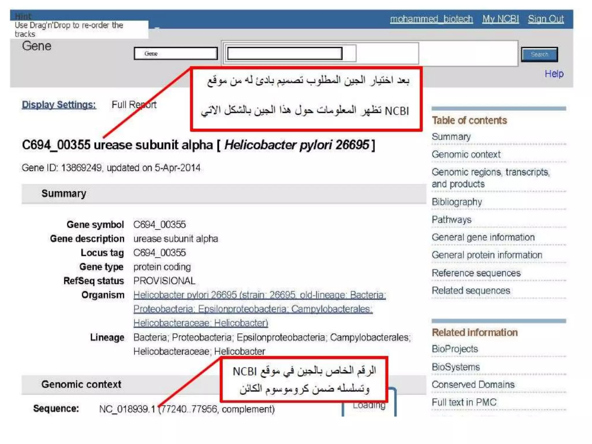 NCBI -Pcr primer design