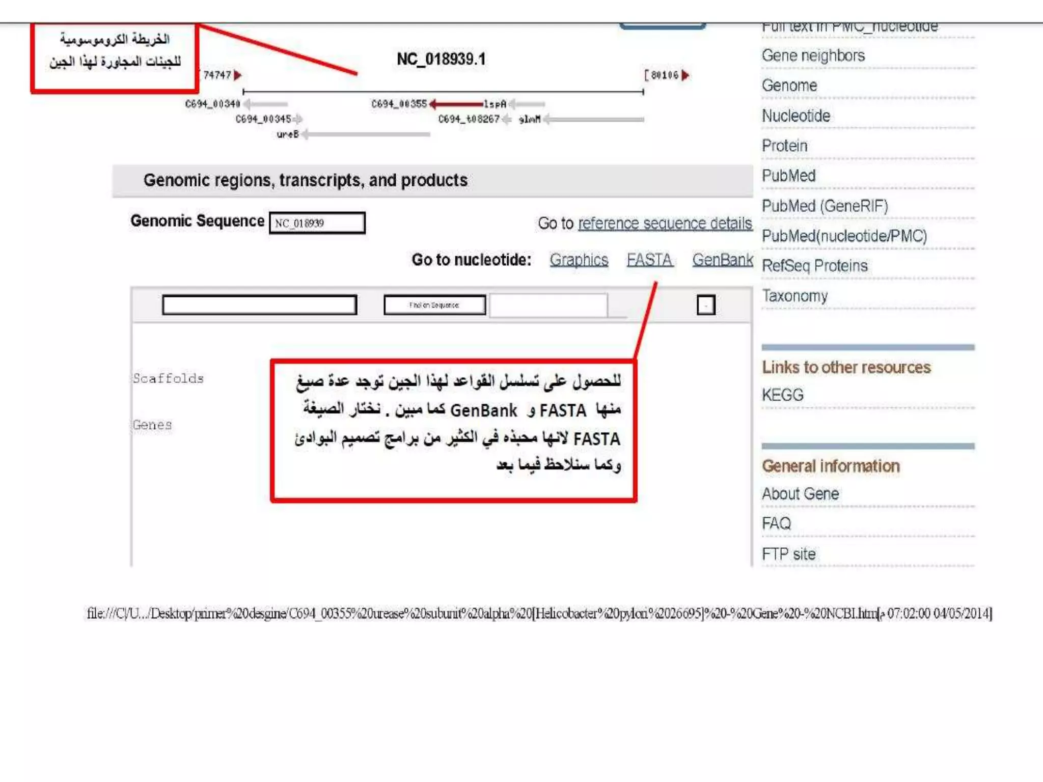 NCBI -Pcr primer design