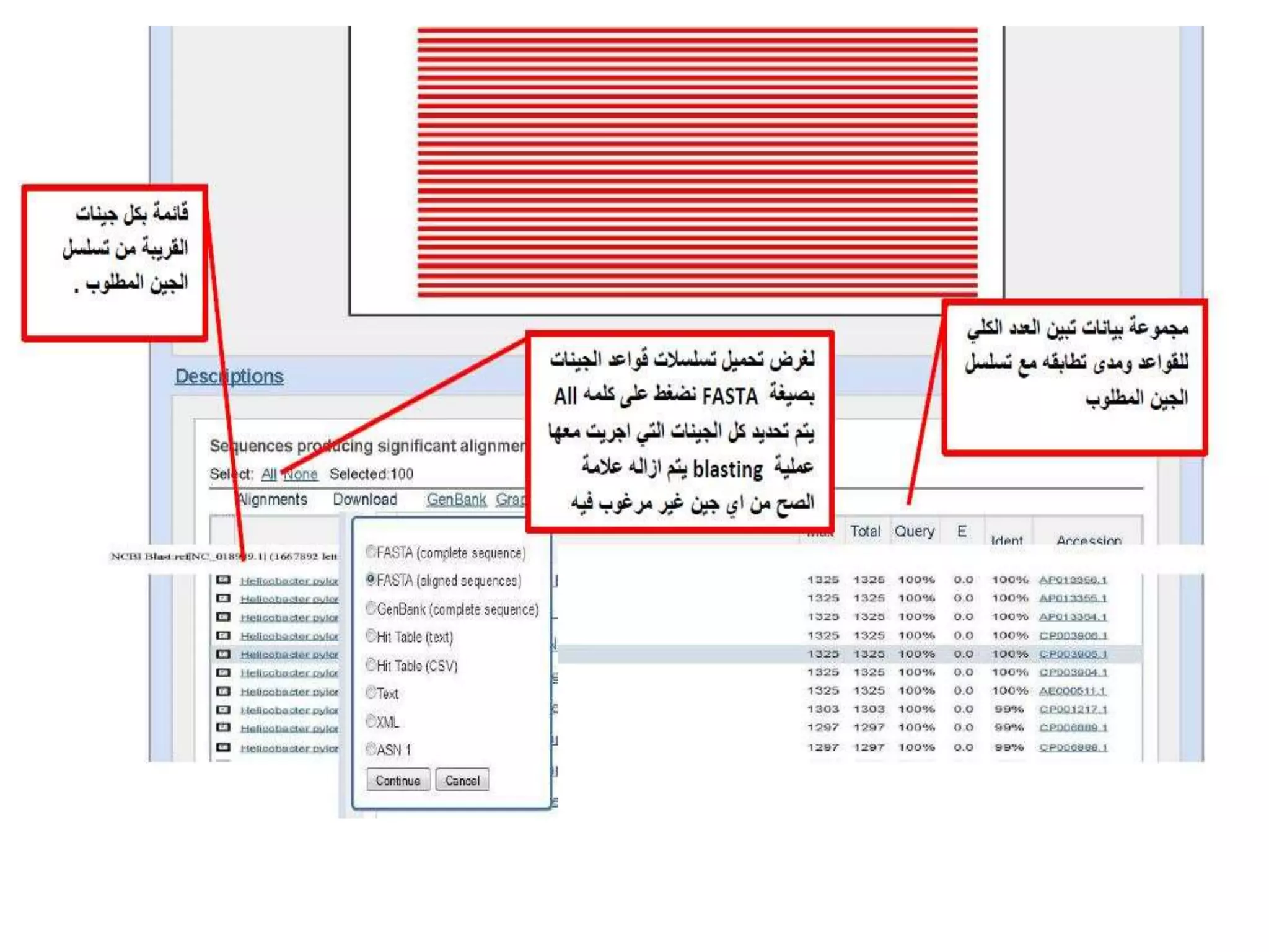 NCBI -Pcr primer design