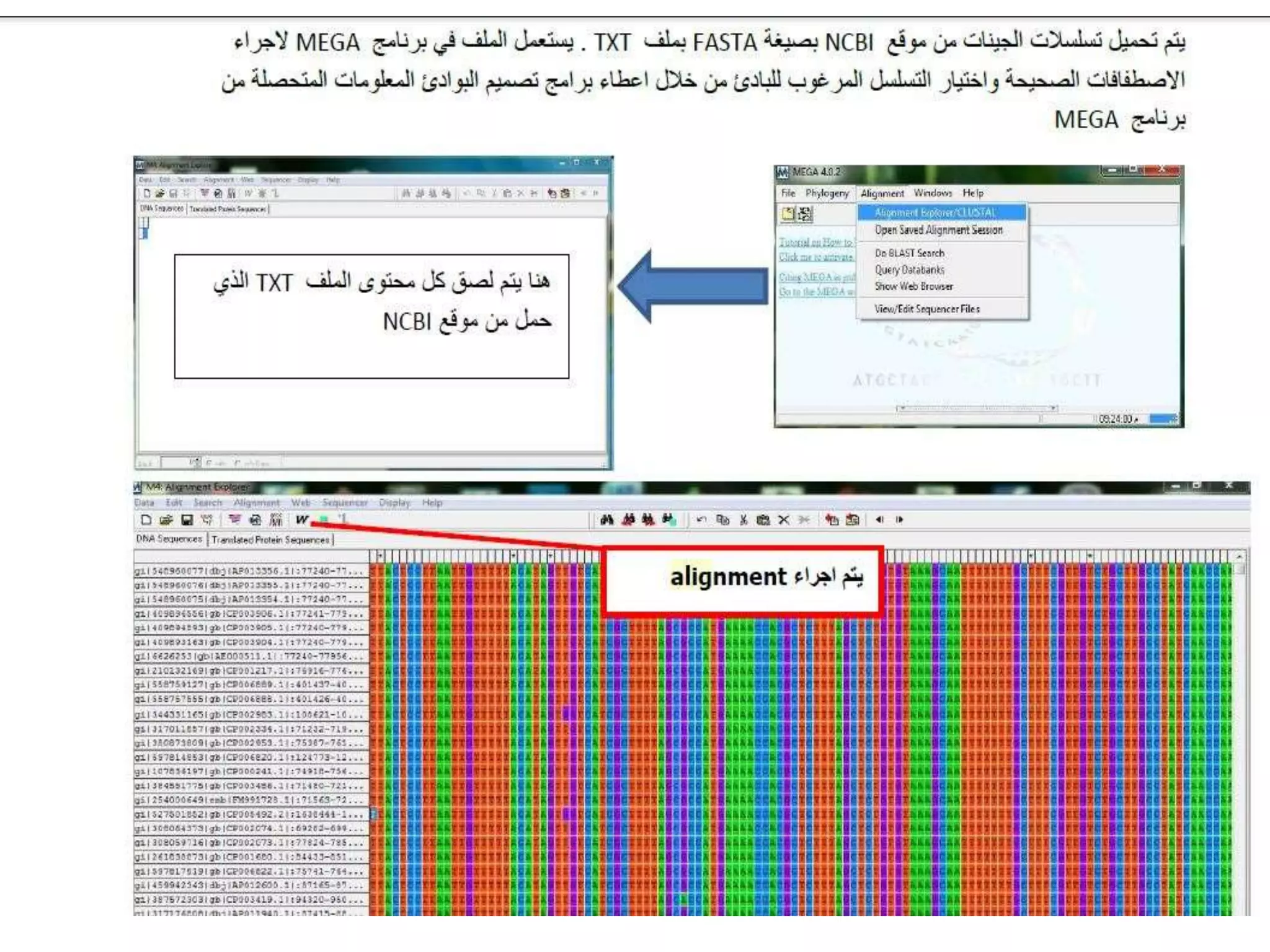 NCBI -Pcr primer design