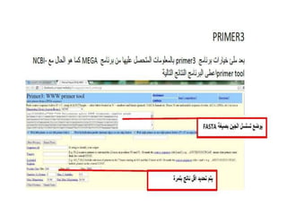 NCBI -Pcr primer design