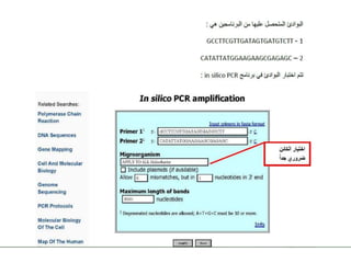 NCBI -Pcr primer design