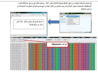 NCBI -Pcr primer design