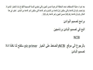 NCBI -Pcr primer design