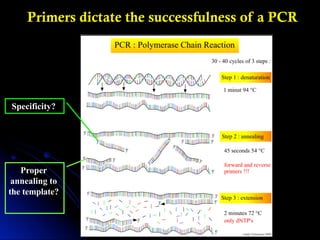 Primers dictate the successfulness of a PCR
Specificity?
Proper
annealing to
the template?
 