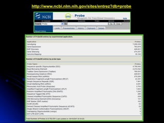 http://www.ncbi.nlm.nih.gov/sites/entrez?db=probe
 