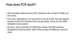 Pcr primer design | PPTX