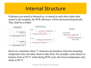 Internal Structure
If primers can anneal to themselves, or anneal to each other rather than
anneal to the template, the PCR efficiency will be decreased dramatically.
They shall be avoided.
However, sometimes these 2 structures are harmless when the annealing
temperature does not allow them to take form. For example, some dimers or
hairpins form at 30 C while during PCR cycle, the lowest temperature only
drops to 60 C.
KARAN VEER SINGH, ICAR- NBAGR
 
