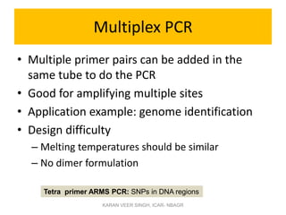 Multiplex PCR
• Multiple primer pairs can be added in the
same tube to do the PCR
• Good for amplifying multiple sites
• Application example: genome identification
• Design difficulty
– Melting temperatures should be similar
– No dimer formulation
Tetra primer ARMS PCR: SNPs in DNA regions
KARAN VEER SINGH, ICAR- NBAGR
 