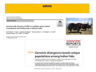 ddRAD
KARAN VEER SINGH, ICAR- NBAGR
 