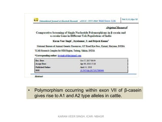 • Polymorphism occurring within exon VII of β-casein
gives rise to A1 and A2 type alleles in cattle.
KARAN VEER SINGH, ICAR- NBAGR
 