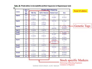 Total 23 alleles
Genetic Tags
Stock specific Markers
Partitioning of Breeding Population
Limitation in Migration
KARAN VEER SINGH, ICAR- NBAGR
 