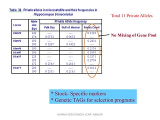 No Mixing of Gene Pool
* Stock- Specific markers
* Genetic TAGs for selection programs
Total 11 Private Alleles
KARAN VEER SINGH, ICAR- NBAGR
 