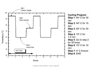 Cycling Program
Step 1: 94o C for 30
sec
Step 2: 94o C for 15
sec
Step 3: 55o C for 30
sec
Step 4: 72o C for
1.5 min
Step 5: Go to step 2
for 35 times
Step 6: 72o C for 10
min
Step 7: 4o C forever
Step 8: END
KARAN VEER SINGH, ICAR- NBAGR
 