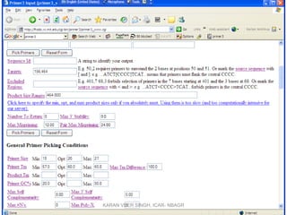 Primer3
KARAN VEER SINGH, ICAR- NBAGR
 