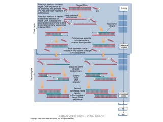 KARAN VEER SINGH, ICAR- NBAGR
 