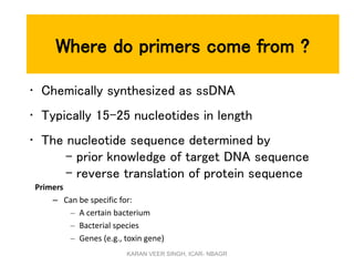 Where do primers come from ?
• Chemically synthesized as ssDNA
• Typically 15-25 nucleotides in length
• The nucleotide sequence determined by
- prior knowledge of target DNA sequence
- reverse translation of protein sequence
Primers
– Can be specific for:
– A certain bacterium
– Bacterial species
– Genes (e.g., toxin gene)
KARAN VEER SINGH, ICAR- NBAGR
 