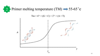 Primer melting temperature (TM) 55-65 ͦc
10
2
 