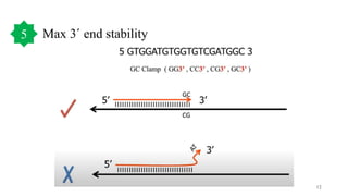 Max 3΄ end stability
12
5
 