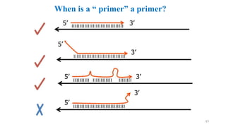 When is a “ primer” a primer?
13
 