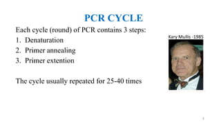 PCR CYCLE
Each cycle (round) of PCR contains 3 steps:
1. Denaturation
2. Primer annealing
3. Primer extention
The cycle usually repeated for 25-40 times
2
 