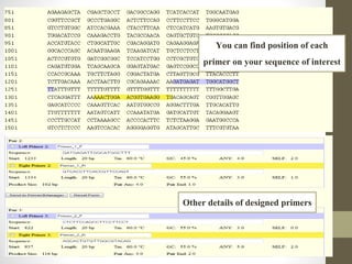 Pcr primer design english version | PDF