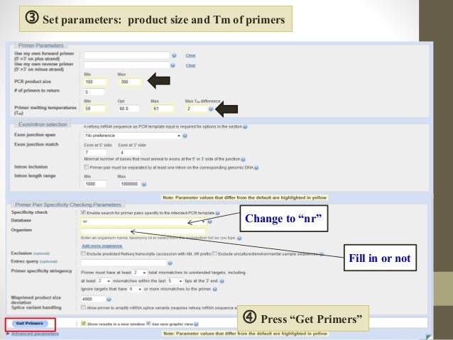 Pcr Program Design Online Pcr Program Design Online