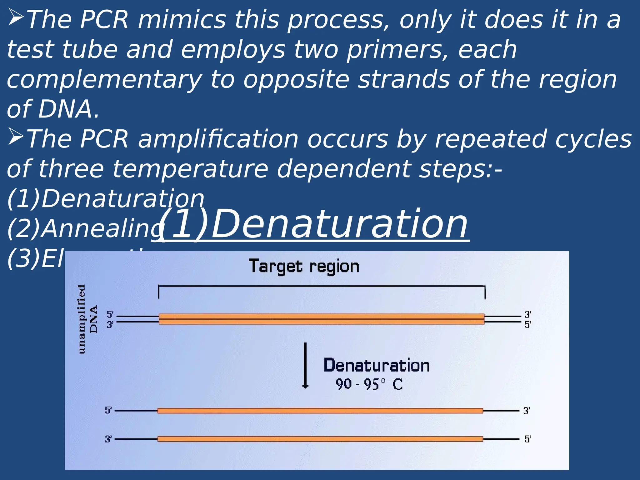 pcr_project_class12 (1)_biology,zoology.pdf