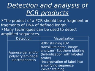 Project Pcr pcr_project_class12 (1)_biology,zoology.pdf