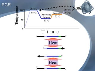 PCR
Melting
94 oC
Melting
94 oC
Annealing
Primers
50 oC
Extension
72 oCTemperature
100
0
50
T i m e
30x
3’5’
5’3’
Heat
Heat
5’
5’
5’
 