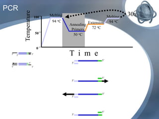 PCR
Melting
94 oC
Melting
94 oC
Annealing
Primers
50 oC
Extension
72 oCTemperature
100
0
50
T i m e
30x
3’5’
5’3’
5’
5’
5’
5’
5’
5’
5’
5’
5’
5’
 