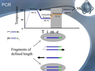 Fragments of
defined length
PCR
Melting
94 oC
Melting
94 oC
Annealing
Primers
50 oC
Extension
72 oCTemperature
100
0
50
T i m e
30x
3’5’
5’3’
5’
5’ 5’
5’
5’
5’
5’
5’
5’
5’
 