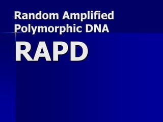 Random Amplified
Polymorphic DNA
RAPD
 