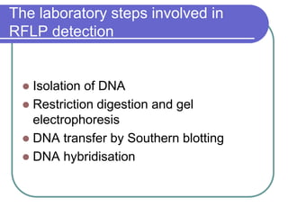 The laboratory steps involved in
RFLP detection
 Isolation of DNA
 Restriction digestion and gel
electrophoresis
 DNA transfer by Southern blotting
 DNA hybridisation
 
