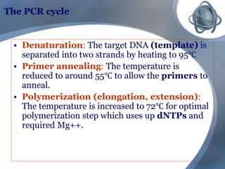 The PCR cycle
• Denaturation: The target DNA (template) is
separated into two strands by heating to 95℃
• Primer annealing: The temperature is
reduced to around 55℃ to allow the primers to
anneal.
• Polymerization (elongation, extension):
The temperature is increased to 72℃ for optimal
polymerization step which uses up dNTPs and
required Mg++.
 