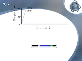 PCR
Melting
94 oC
Temperature
100
0
50
T i m e
5’3’
3’5’
 