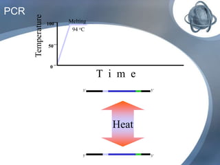 PCR
Melting
94 oC
Temperature
100
0
50
T i m e
3’5’
5’3’
Heat
 