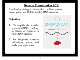 Reverse Transcript Pcr Machine Comprehensive Overview of PCR and Reverse Transcription PCR Techniques ...