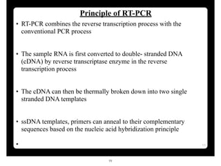 Comprehensive Overview of PCR and Reverse Transcription PCR Techniques ...