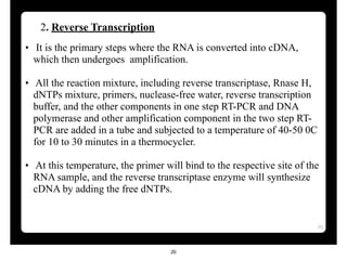 Comprehensive Overview of PCR and Reverse Transcription PCR Techniques ...