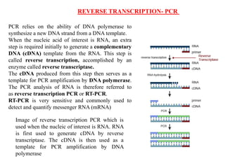 PCR & RT PCR . | PDF