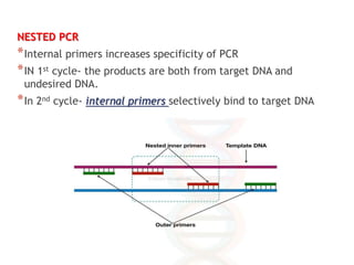 Polymerase Chain Reaction - PCR | PPT
