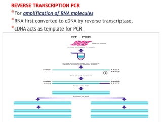 Polymerase Chain Reaction - PCR | PPT