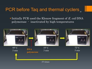 20
PCR before Taq and thermal cyclers
 Initially PCR used the Klenow fragment of E. coli DNA
polymerase - inactivated by high temperatures
95º C
5 min
35 times
55º C
3 min
72º C
5 minDNA
polymerase
 