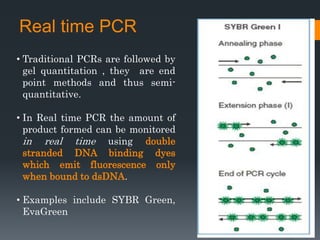 29
Real time PCR
• Traditional PCRs are followed by
gel quantitation , they are end
point methods and thus semi-
quantitative.
• In Real time PCR the amount of
product formed can be monitored
in real time using double
stranded DNA binding dyes
which emit fluorescence only
when bound to dsDNA.
• Examples include SYBR Green,
EvaGreen
 