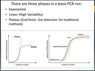 30
Real time PCR
 