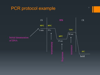 7
PCR protocol example
annealing
95ºC 95ºC
60ºC
72ºC
4ºC
3 min 10 s
15 sec
30 sec
hold
Initial denaturation
of DNA
1X 35X 1X
extension
denaturation
 