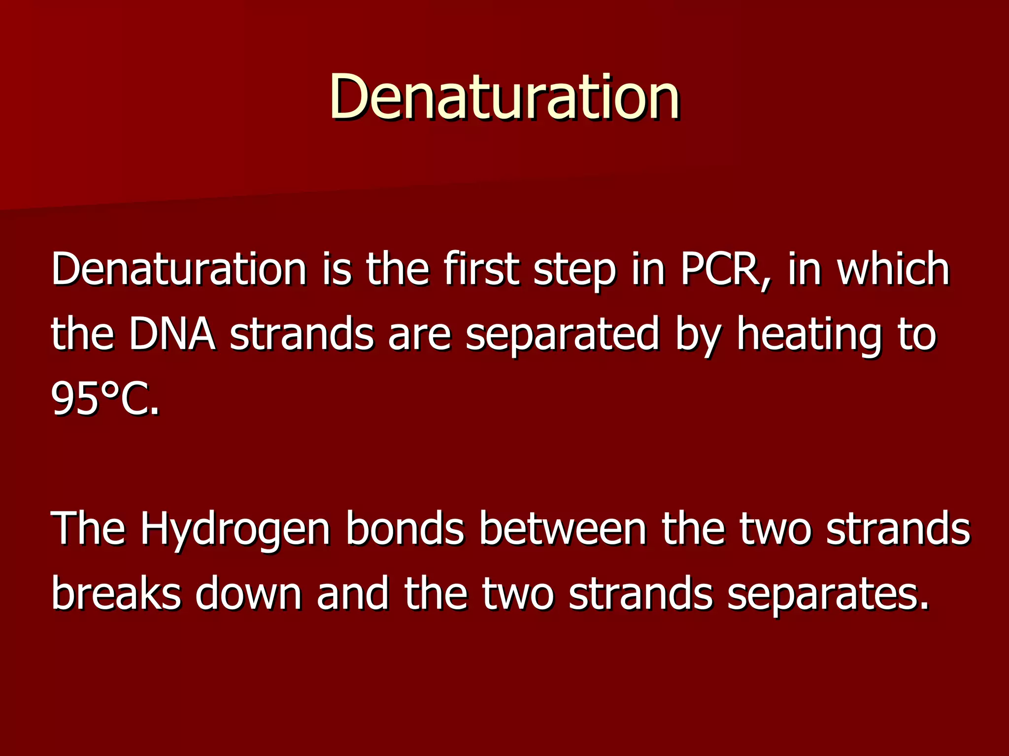 Denaturation Denaturation is the first step in PCR, in which the DNA strands are separated by heating to 95°C.  The Hydrogen bonds between the two strands breaks down and the two strands separates. 