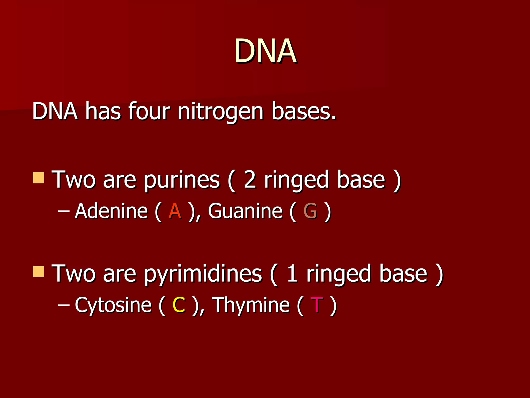 DNA DNA has four nitrogen bases. Two are purines ( 2 ringed base ) Adenine (  A  ), Guanine (  G  ) Two are pyrimidines ( 1 ringed base ) Cytosine (  C  ), Thymine (  T  ) 