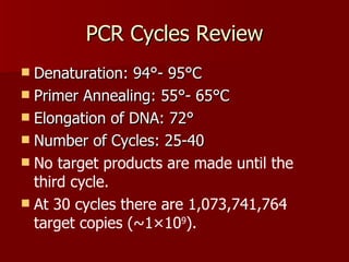 PCR Cycles Review Denaturation: 94°- 95°C Primer Annealing: 55°- 65°C Elongation of DNA: 72° Number of Cycles: 25-40 No target products are made until the third cycle. At 30 cycles there are 1,073,741,764 target copies (~1×10 9 ). 
